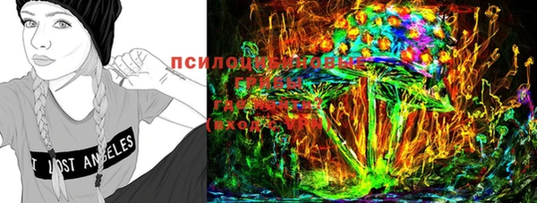 2c-b Балахна