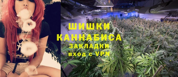ГАЛЛЮЦИНОГЕННЫЕ ГРИБЫ Балабаново