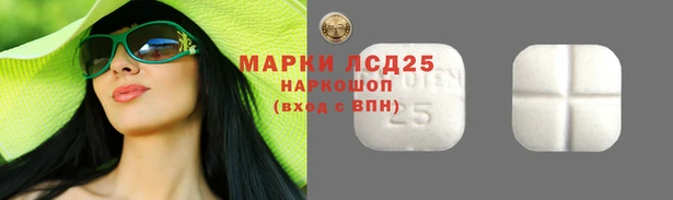 Альфа ПВП Беломорск