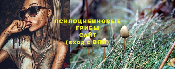 ГАЛЛЮЦИНОГЕННЫЕ ГРИБЫ Балабаново