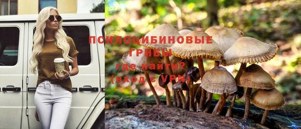 ГАЛЛЮЦИНОГЕННЫЕ ГРИБЫ Балабаново
