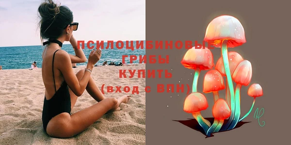 ГАЛЛЮЦИНОГЕННЫЕ ГРИБЫ Балабаново