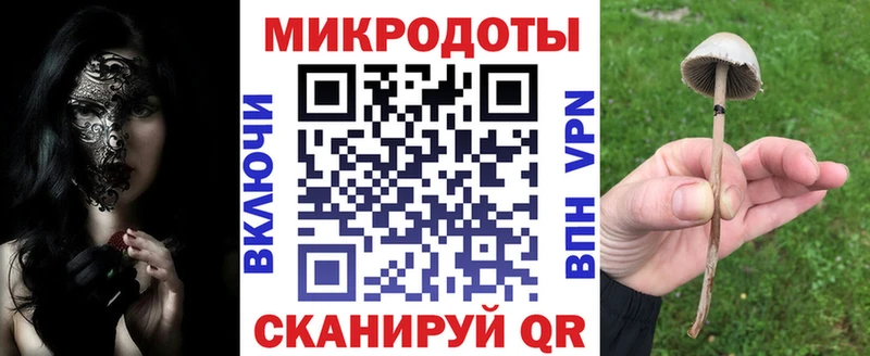 Псилоцибиновые грибы Psilocybine cubensis  Купить где  Себеж 